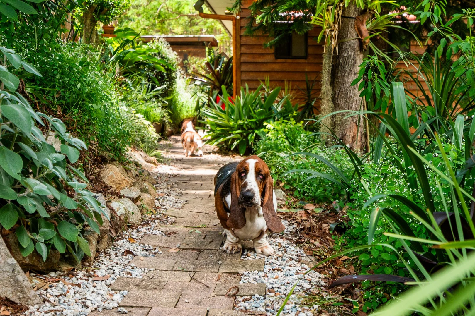 Additional image 2 of 1 Mason Court, Samsonvale QLD 4520