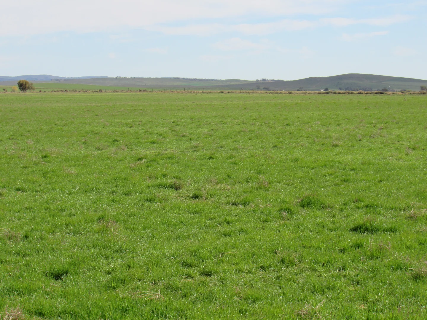 Additional image 8 of "The Pines" 75 Lang Road, Sunnybrae SA 5422