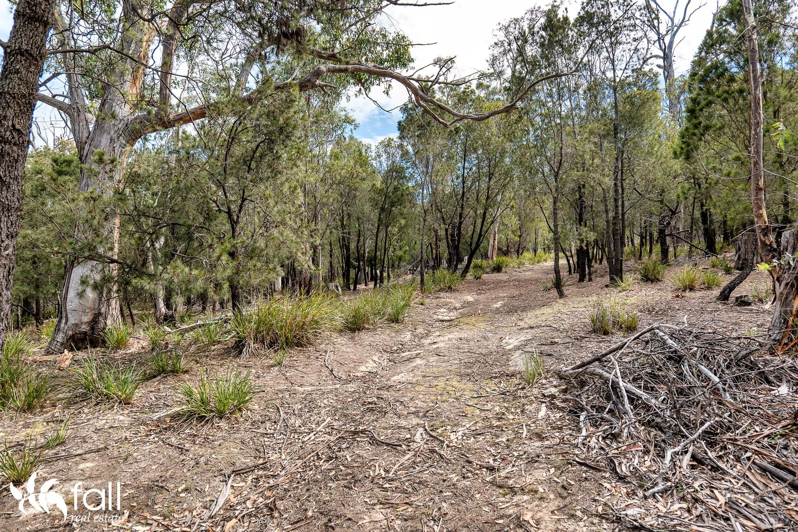 Additional image 12 of 954 Killora Road, North Bruny TAS 7150