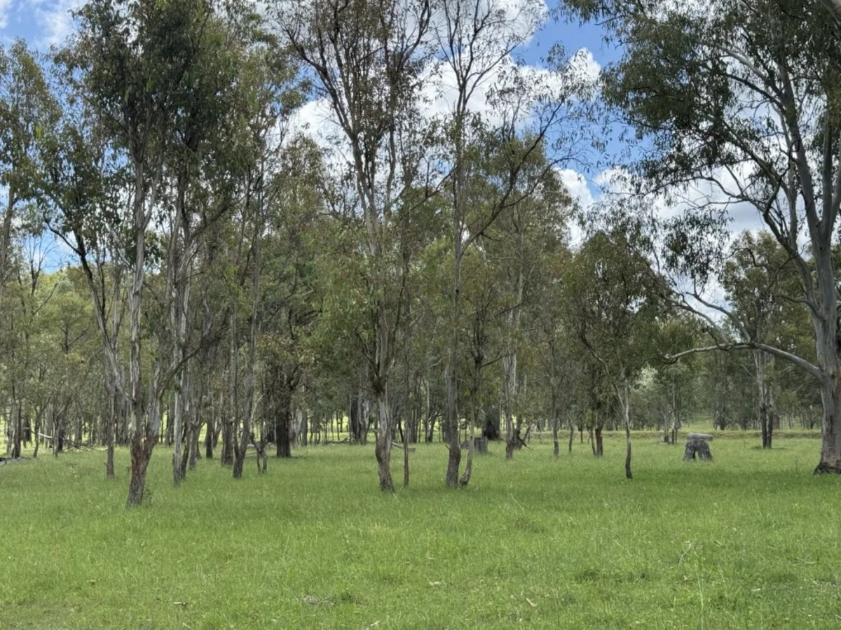 Additional image 43 of 2655 Clonmel Road, Monto QLD 4630