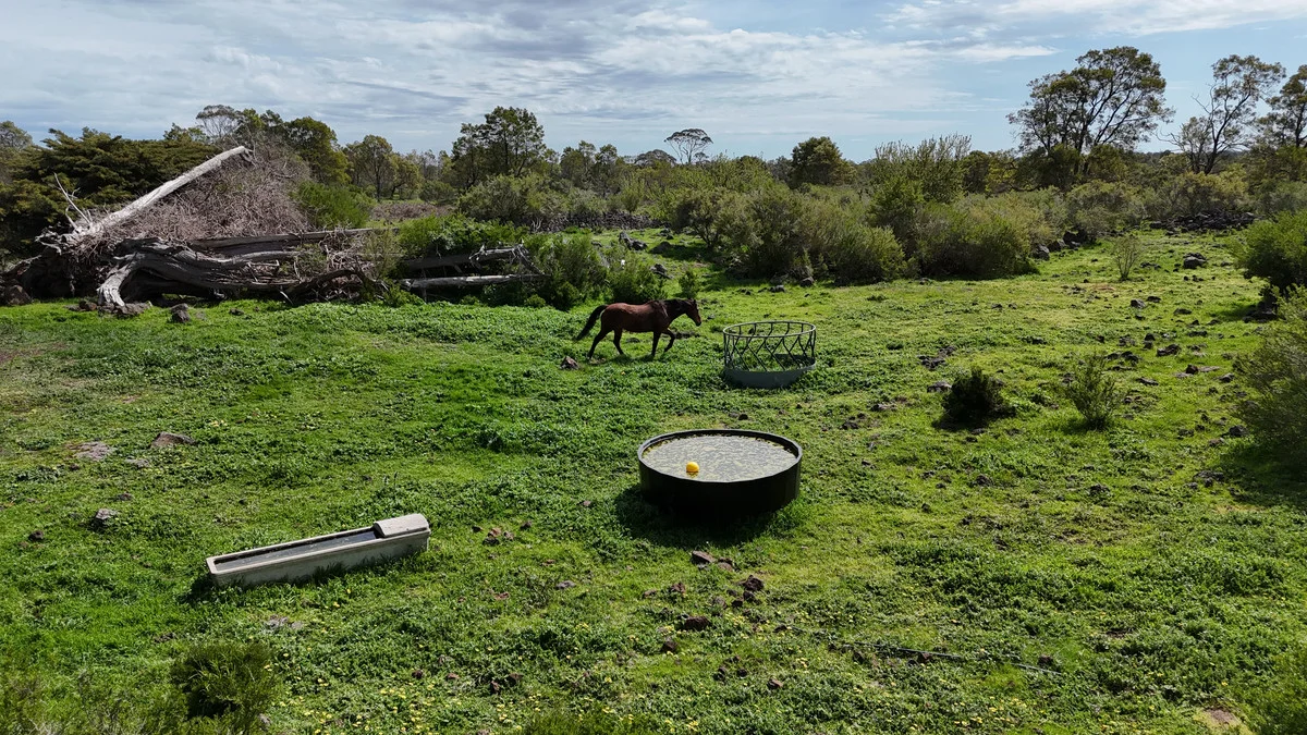 Additional image 24 of 220 Harlocks Road, Pomborneit North VIC 3260