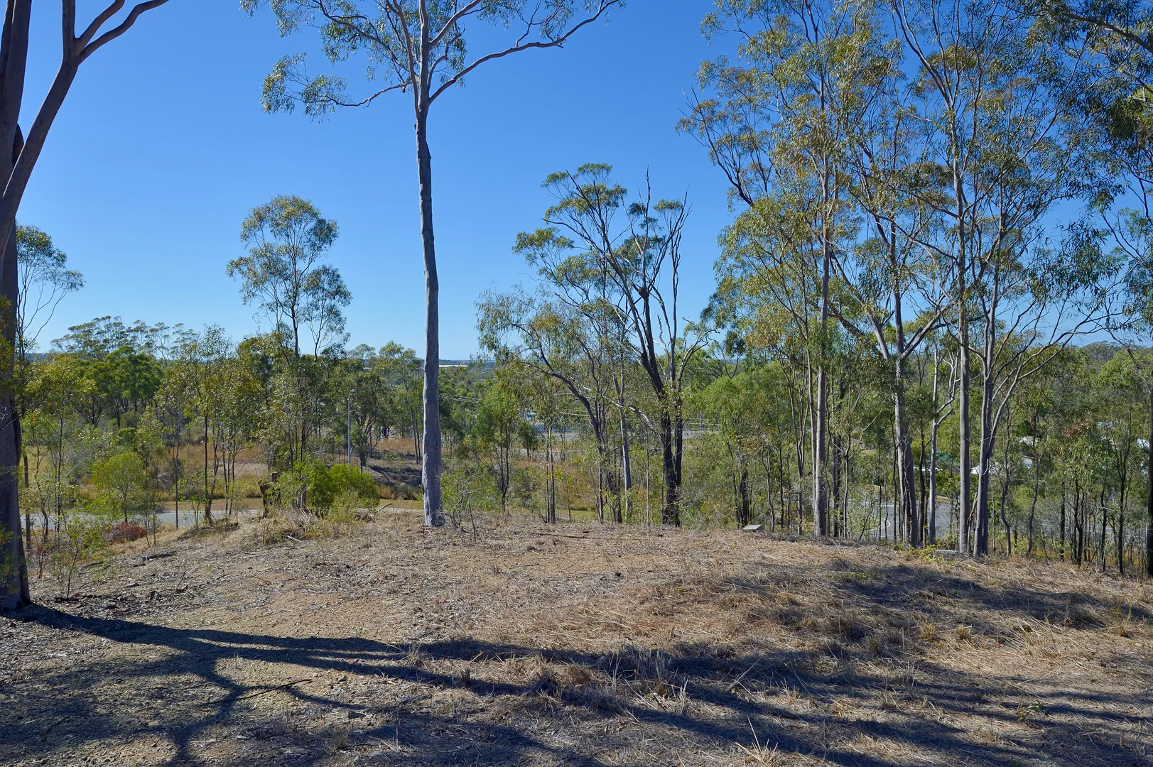 Additional image 5 of 3 Tree Tops Close, O'Connell QLD 4680