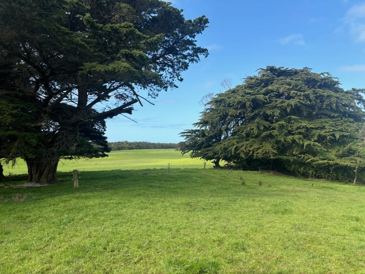 Additional image 5 of 678 Pegarah Road, Pegarah TAS 7256