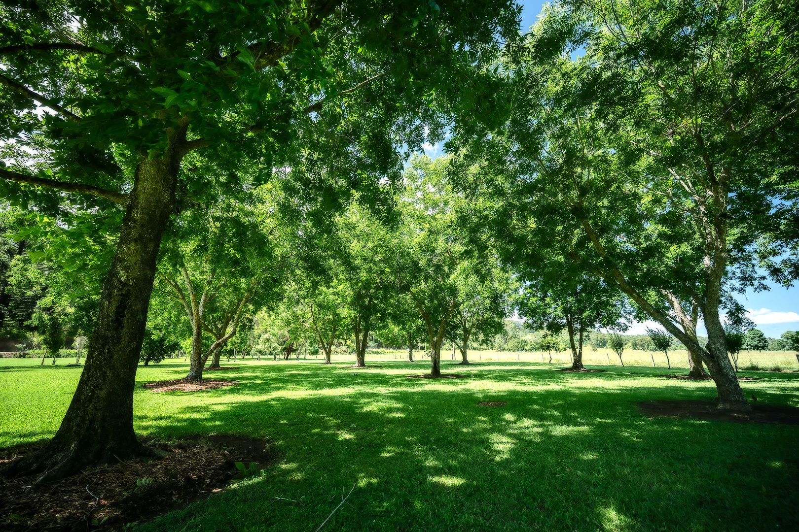 Additional image 16 of 399 Summervilles Road, Bellingen NSW 2454