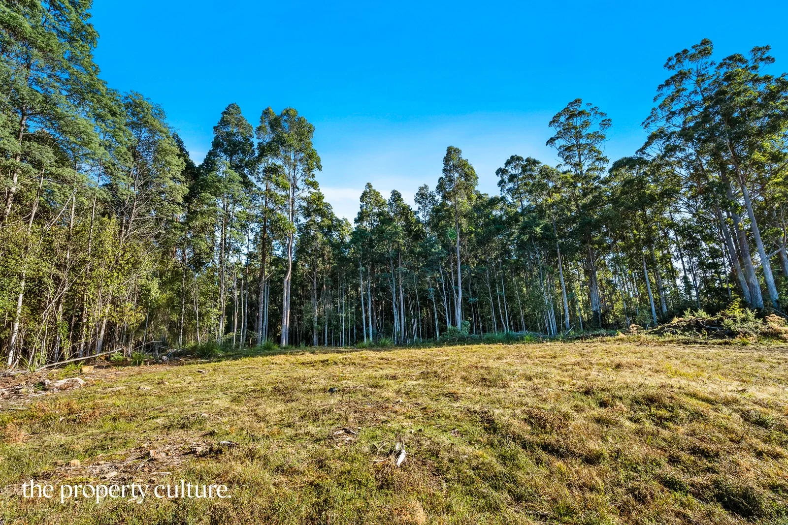 Additional image 4 of 2 Deering Street, Franklin TAS 7113