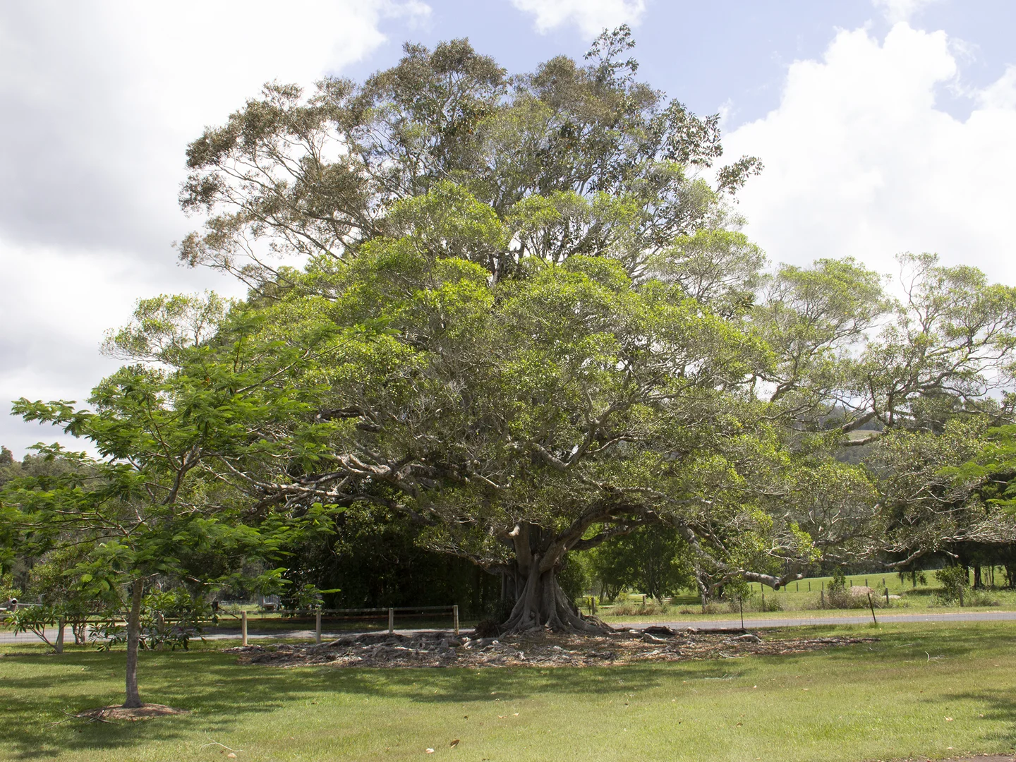 Additional image 32 of 400 Chilcotts Road, Chillingham NSW 2484