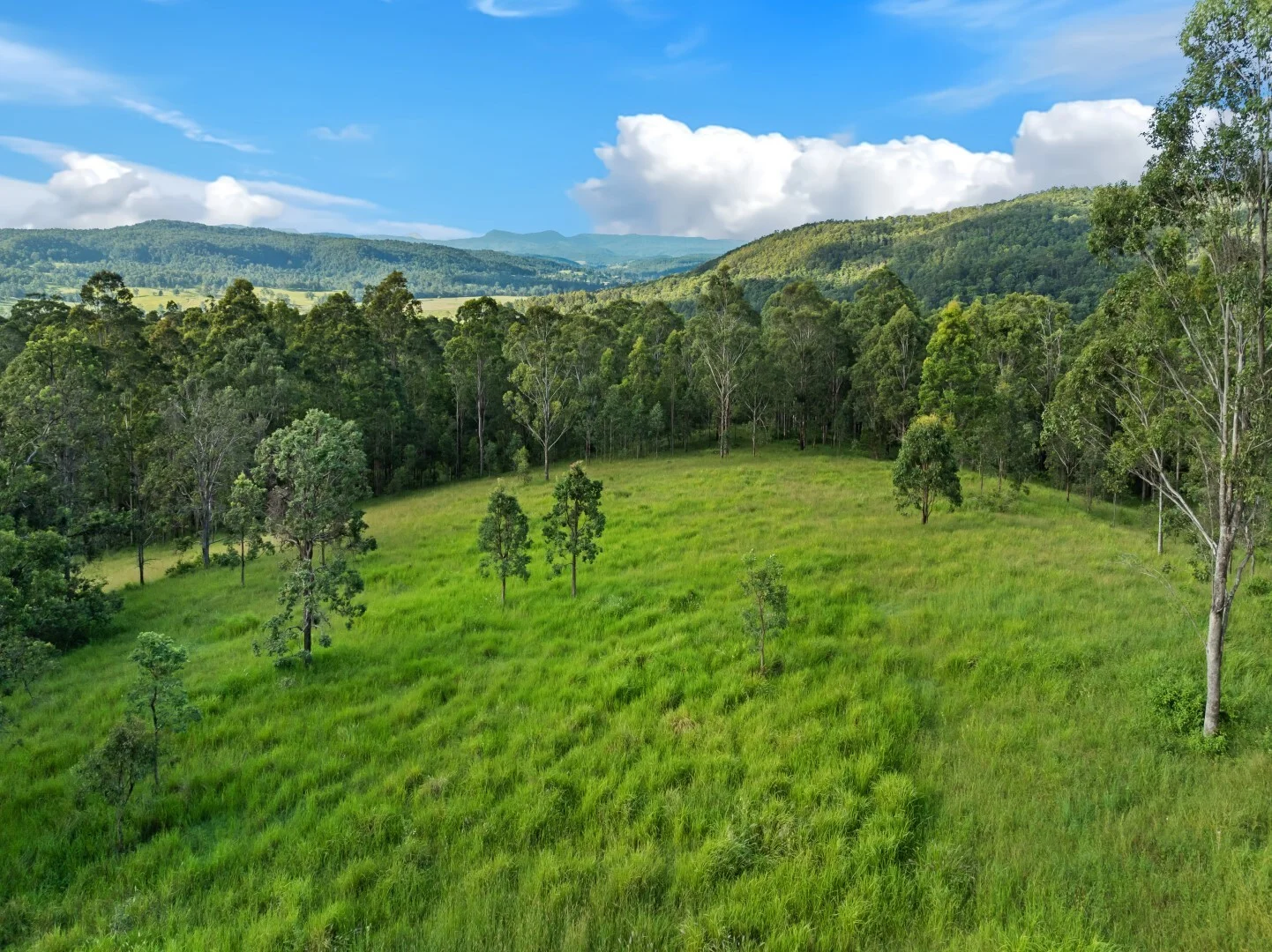 Additional image 15 of 62-69 Duck Creek Road, Bonalbo NSW 2469
