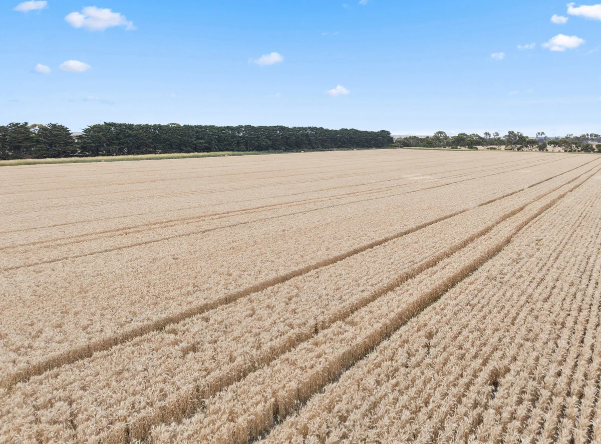 Additional image 5 of 2310 Colac-Ballarat Road, Weering VIC 3251