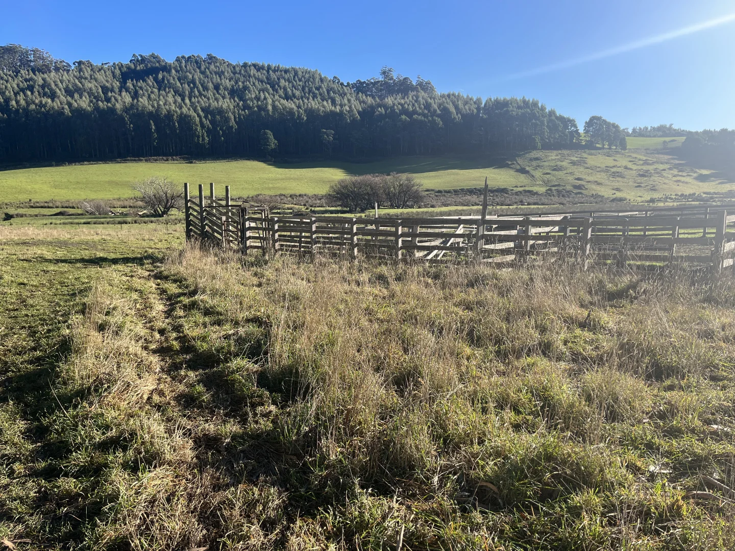 Additional image 6 of . Powers Road, Pyengana TAS 7216