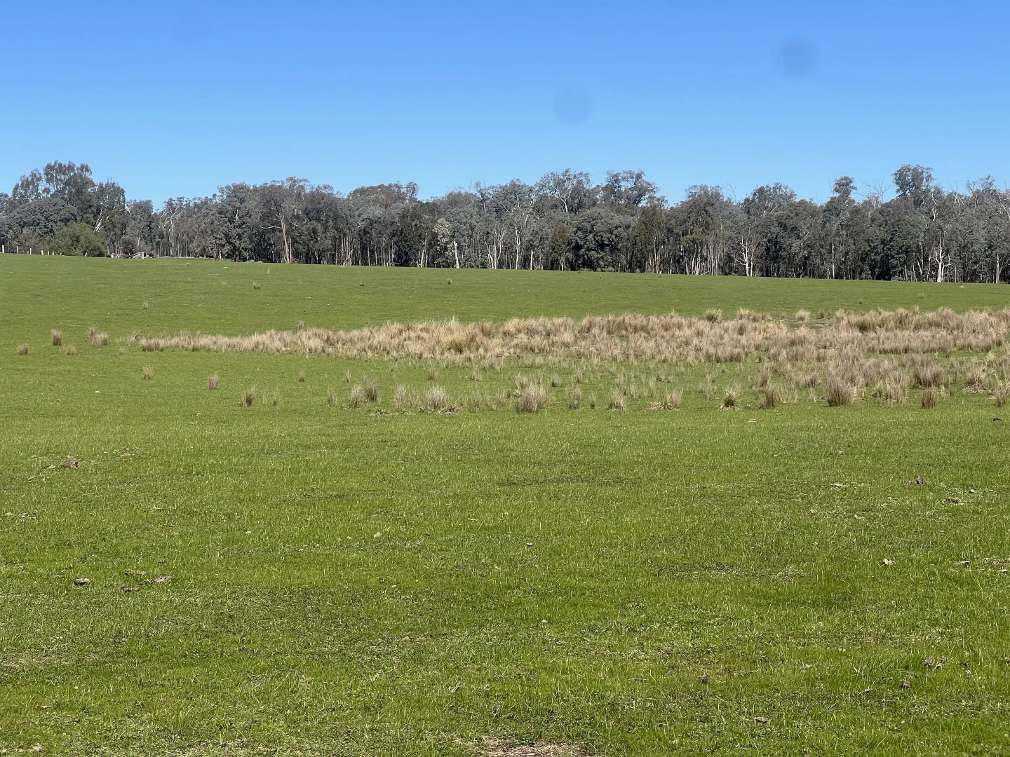 Additional image 19 of Cheesley Gate Road, Indigo Valley VIC 3688
