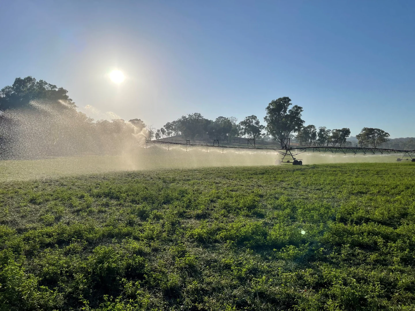 Additional image 26 of 2269 Snow Road, Markwood VIC 3678