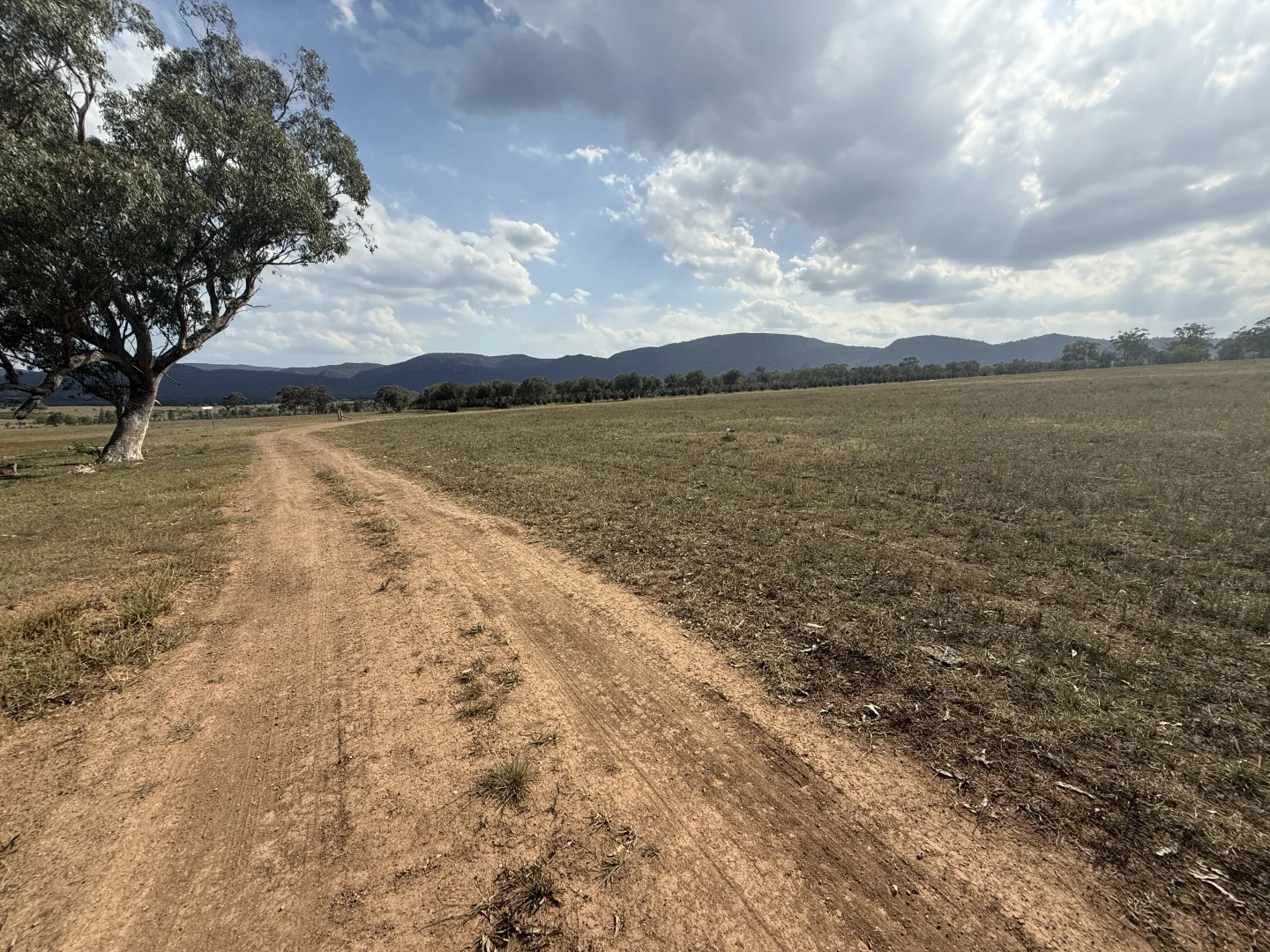 Additional image 45 of 207 Redmanvale Road, Jerrys Plains NSW 2330