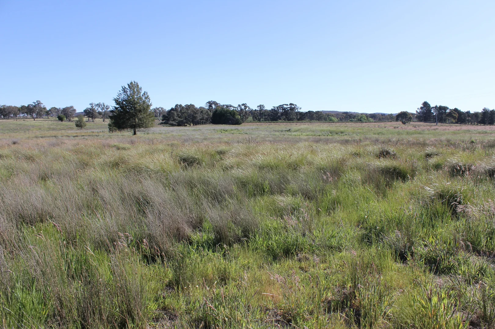 Additional image 16 of 48 & 98/413 Flacknell Creek Road, Gunning NSW 2581