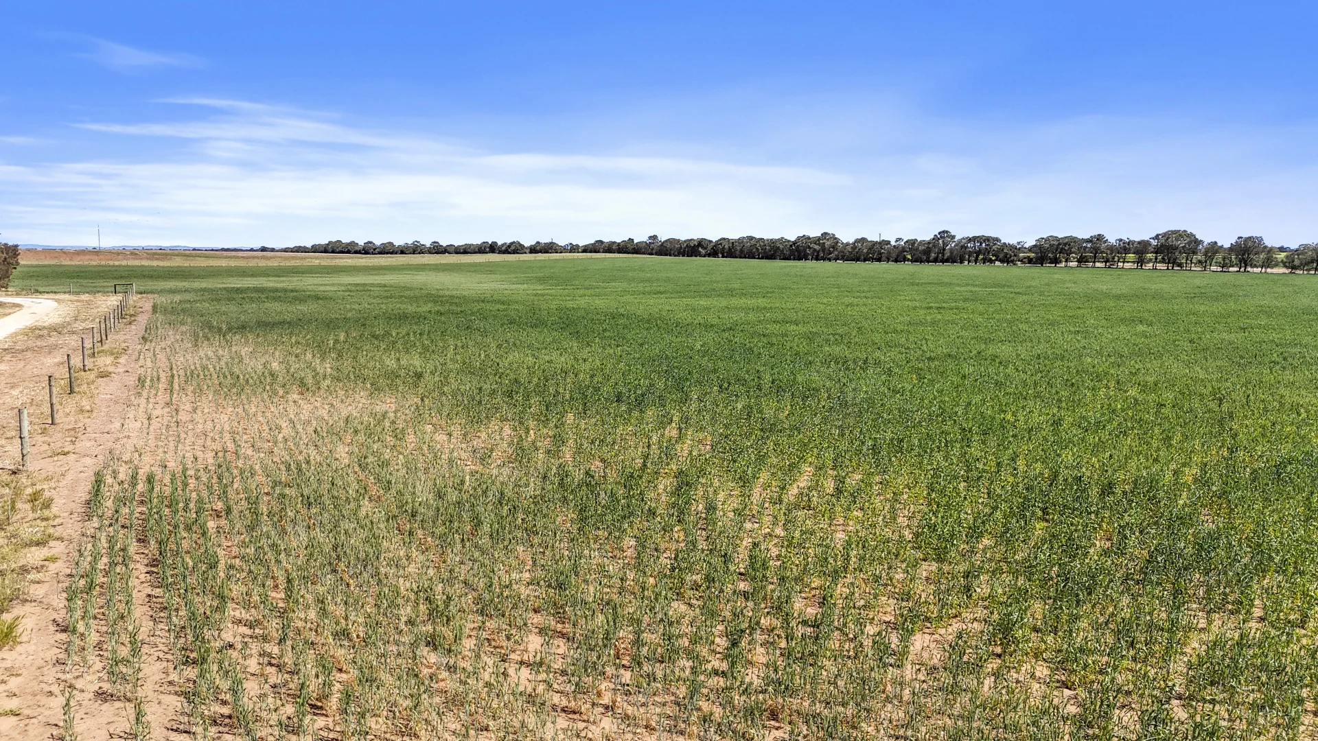 Additional image 10 of Lot 1 Tolderol Road, Langhorne Creek SA 5255