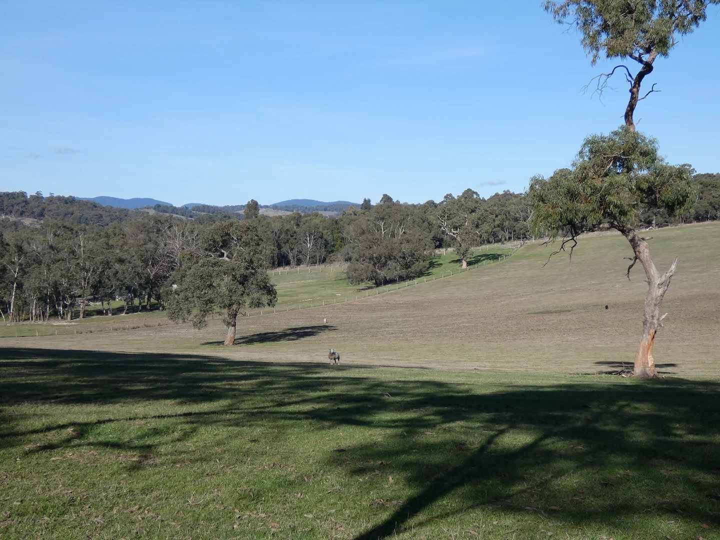 Additional image 23 of 10 Smiths Road, Yellingbo VIC 3139