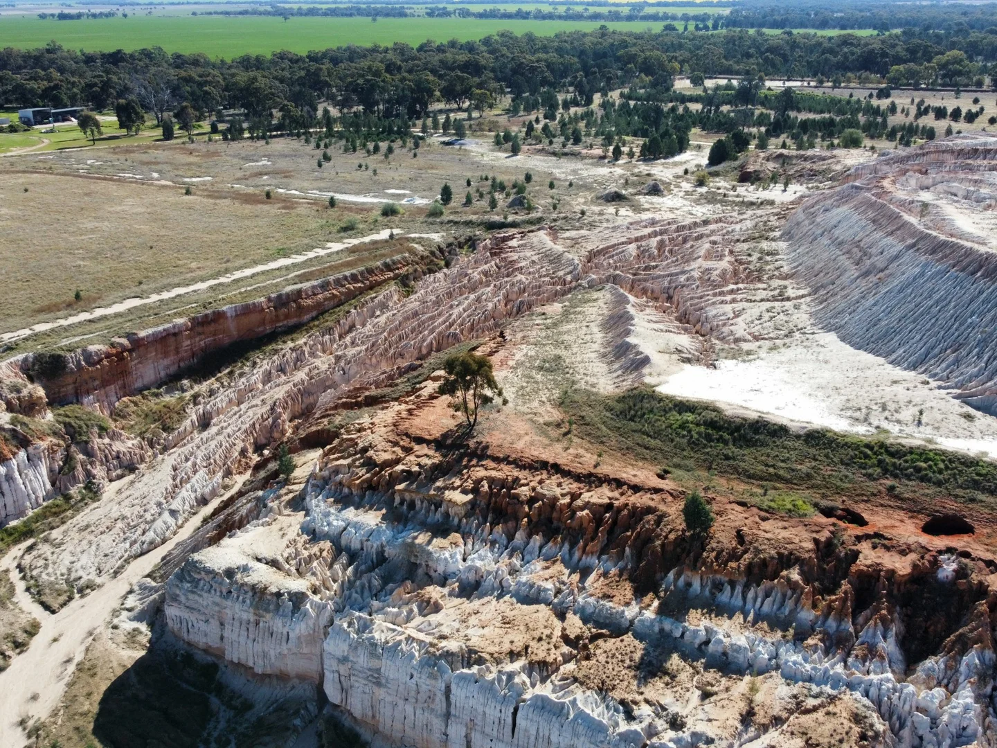 Additional image 5 of 91 Coorabbin Road, Oaklands NSW 2646