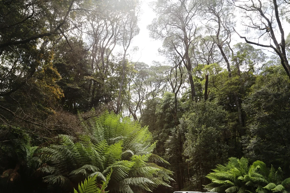 Additional image 15 of 1 Croles Road, Trowutta TAS 7330