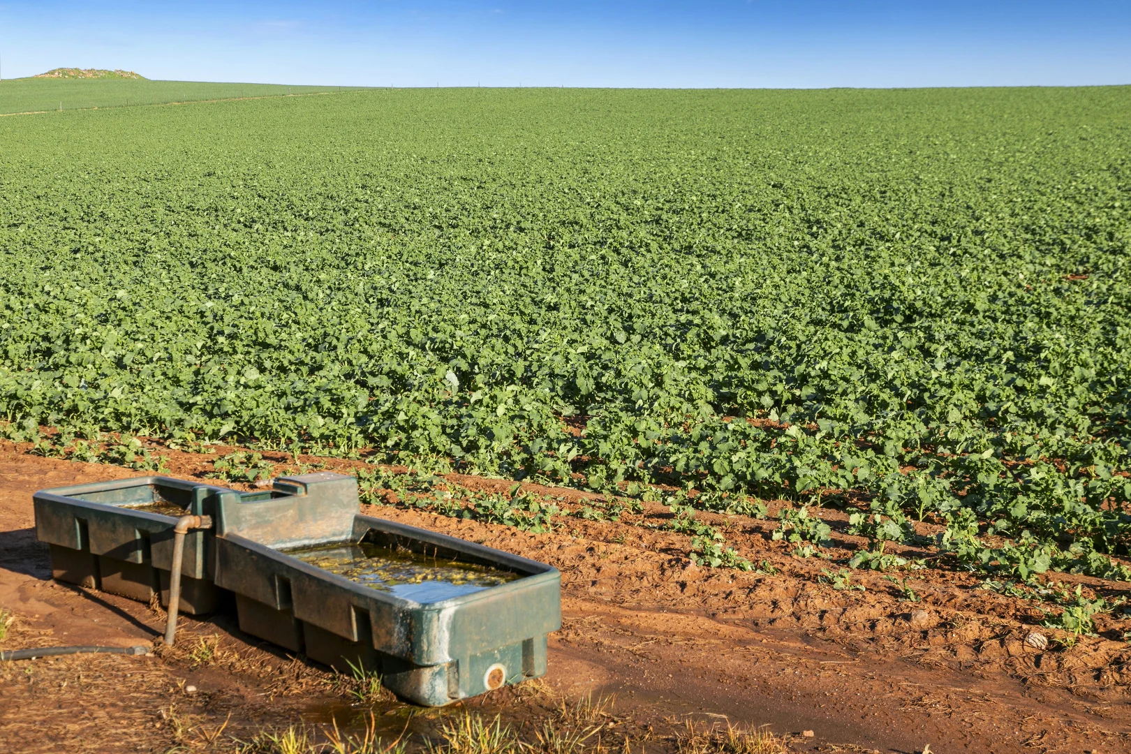 Additional image 8 of 'Hamilton Run Farm' Murchland Drive, Jamestown SA 5491