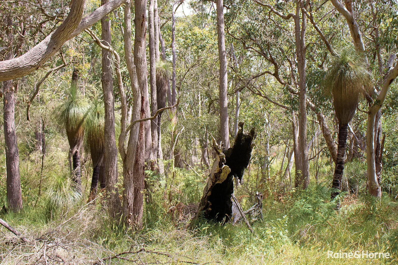 Additional image 4 of 749 Kordabup Road, Kordabup WA 6333