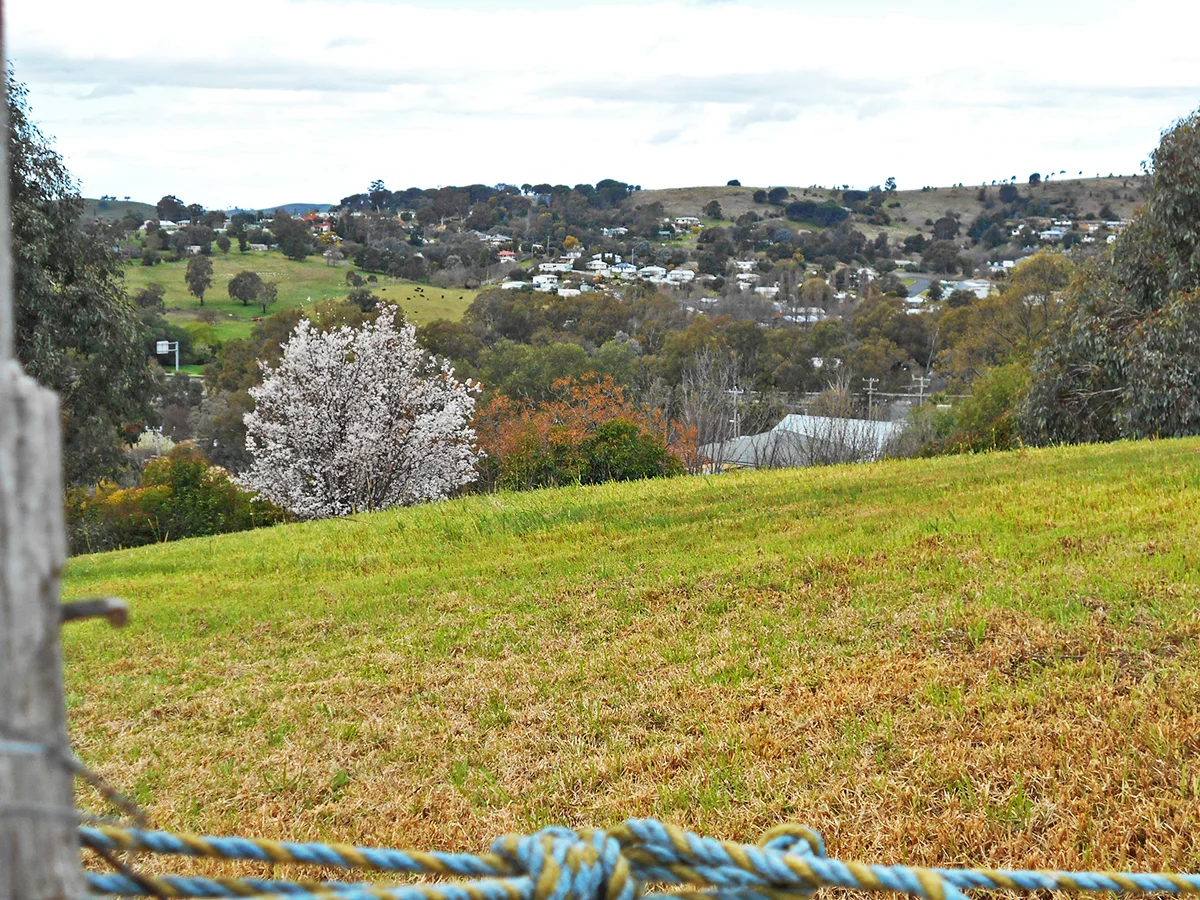 Additional image 30 of 33 Francis Ave, Gundagai NSW 2722