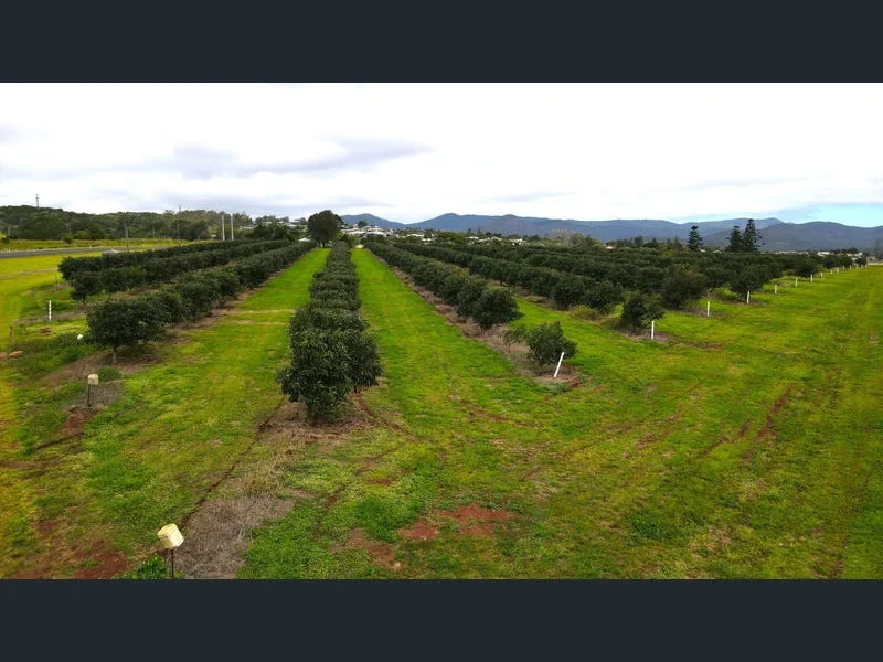 Additional image 23 of 139 Tinaroo Falls Dam Road, Atherton QLD 4883