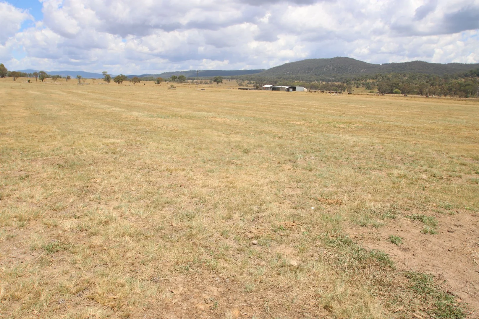 Additional image 3 of 319 Washpool Creek Road, Tenterfield NSW 2372