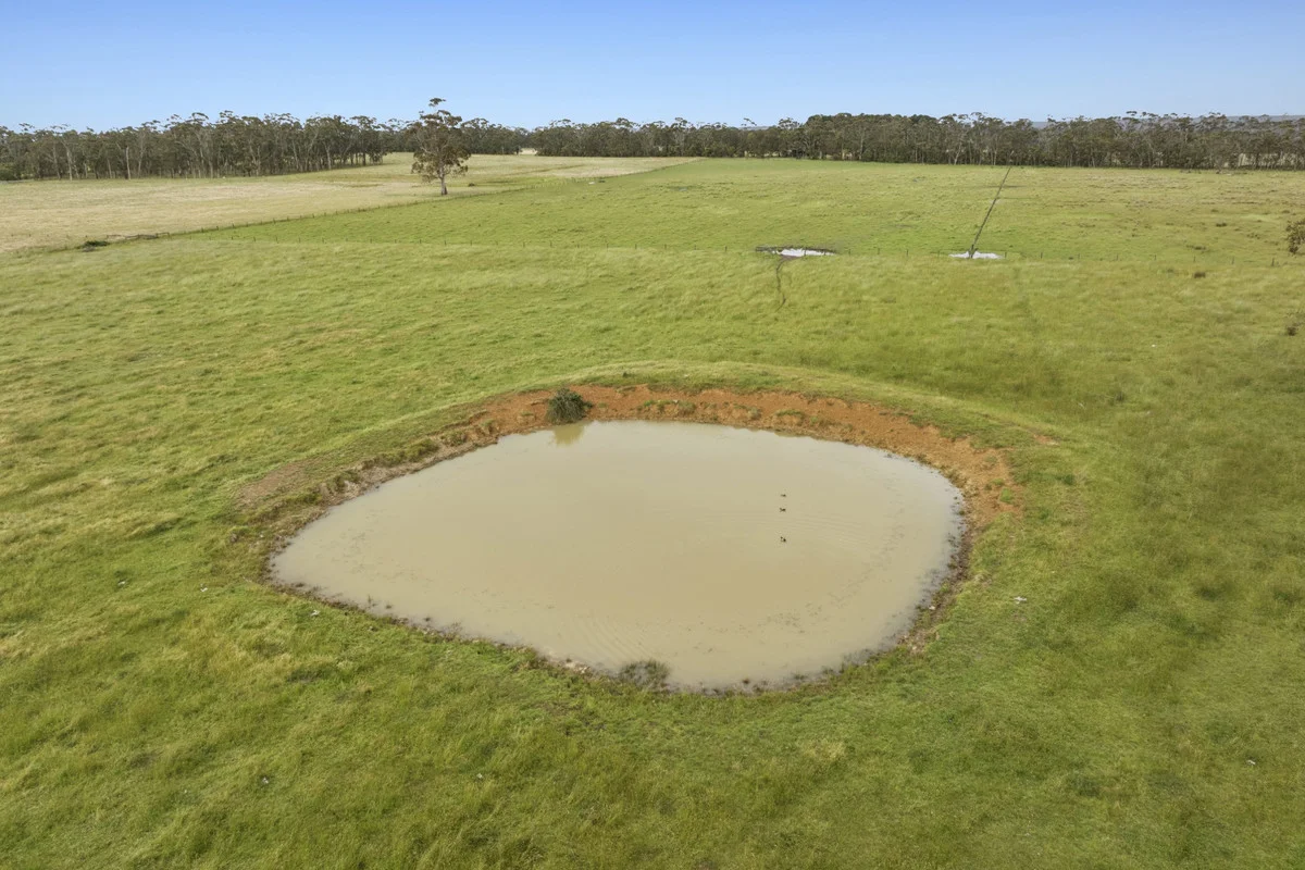 Additional image 11 of 190 Blacks Road, Irrewillipe VIC 3249