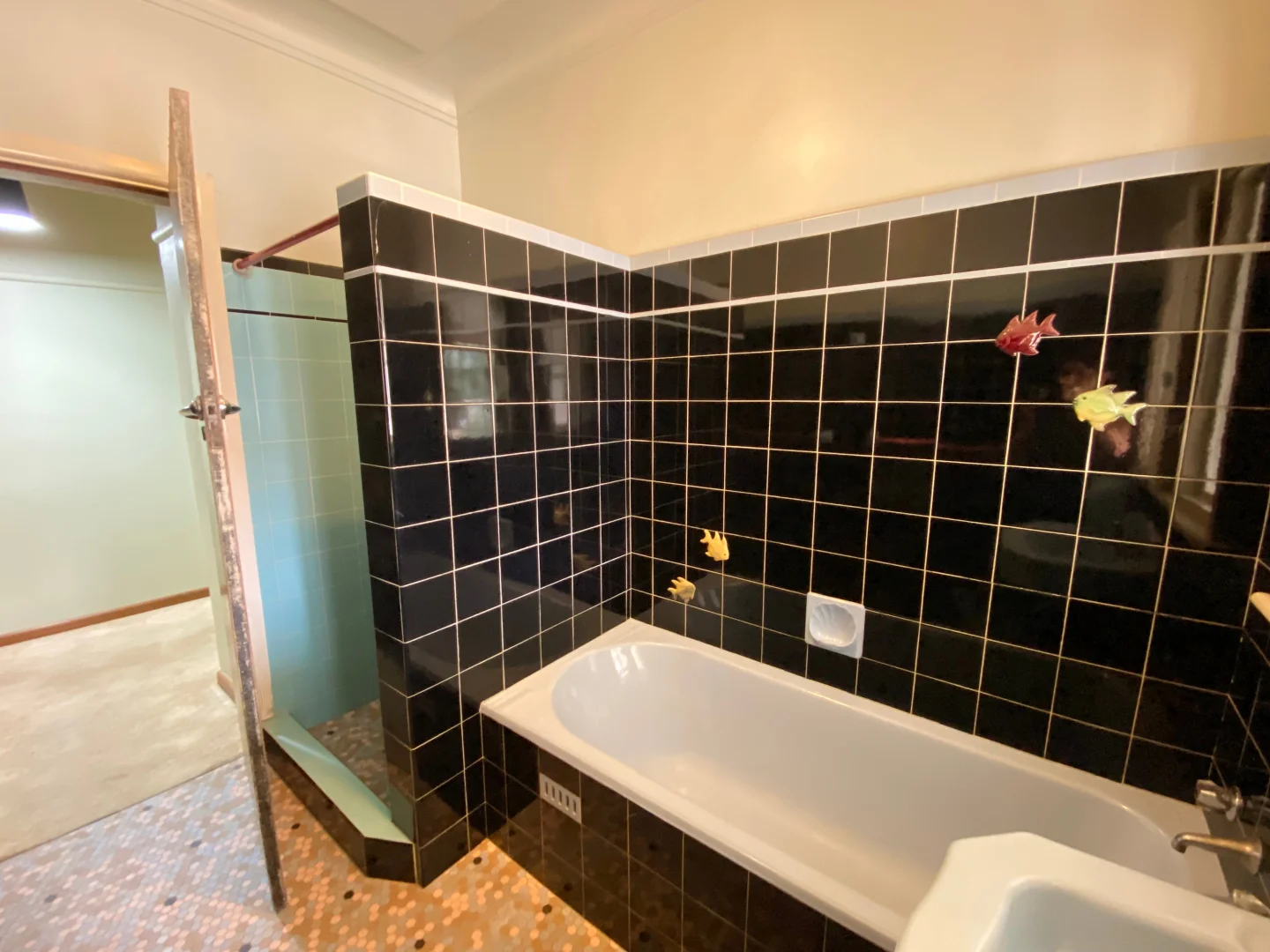 Additional image 10 of 39 Boori Street, Peak Hill NSW 2869