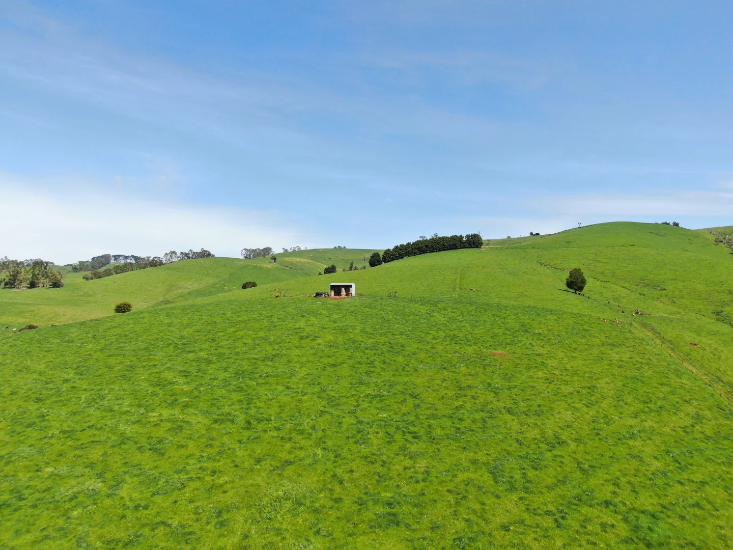 Additional image 27 of 365 Limonite Road, Boolarra South VIC 3870