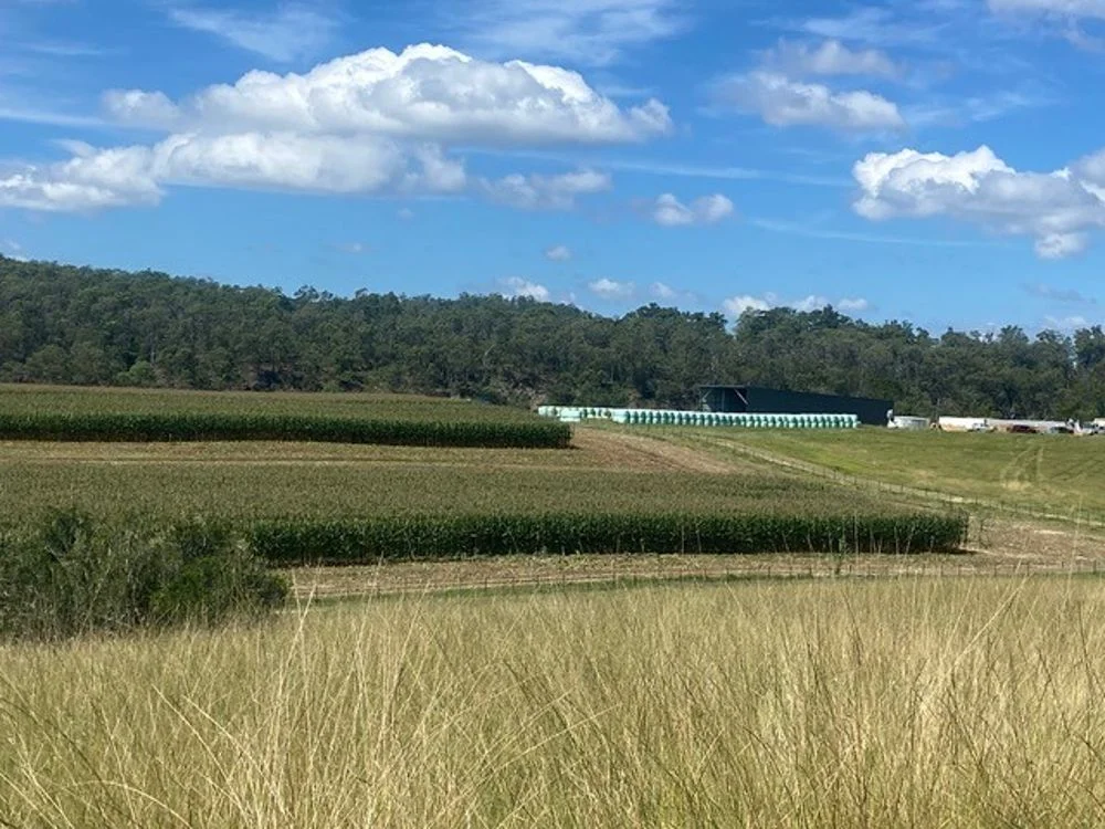 Additional image 11 of 800 Toms Gully Rd, Hickeys Creek NSW 2440