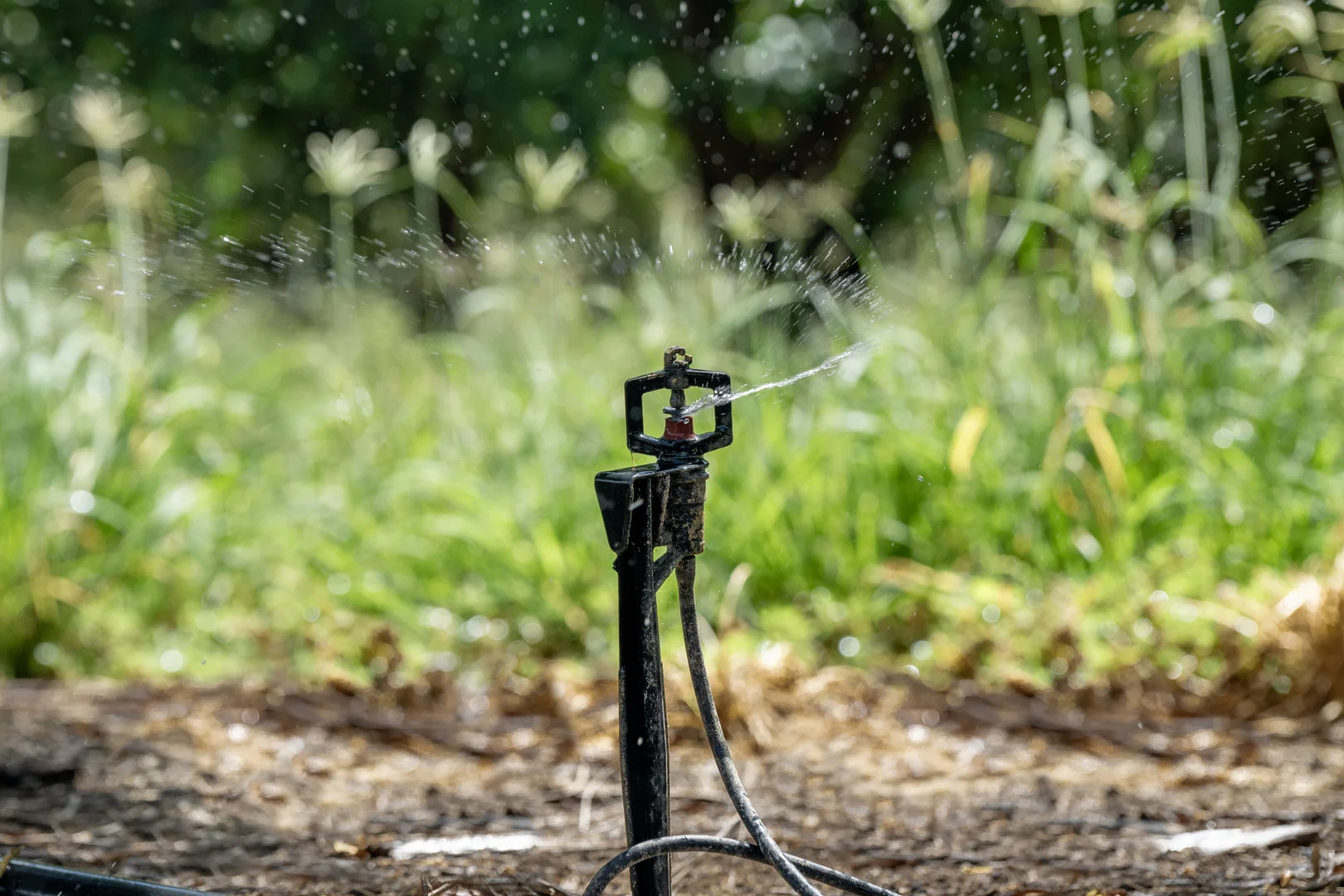 Additional image 19 of 100 Sandersons Lane, Mundubbera QLD 4626