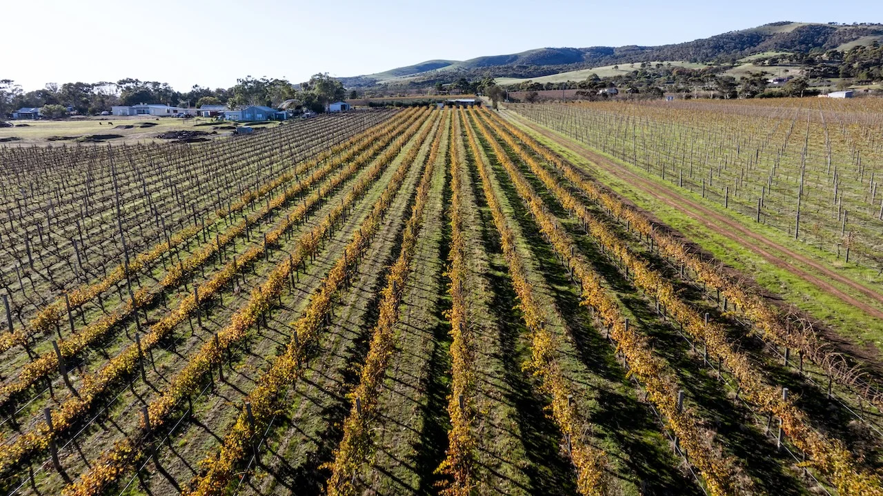 Additional image 49 of 428 Plains Road, Sellicks Hill SA 5174