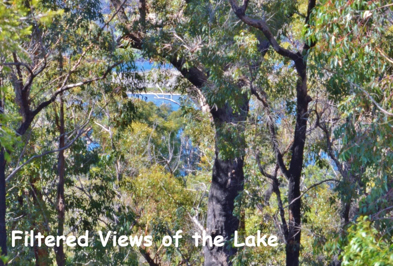 Additional image 4 of 66 Nadgee Road, Wonboyn NSW 2551