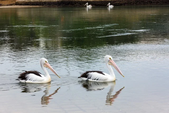 Additional image 9 of 329/Corner Parbery ave & West St, Bermagui NSW 2546