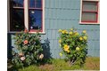 Additional image 40 of 2439 E 6th St, Long Beach, CA, 90814