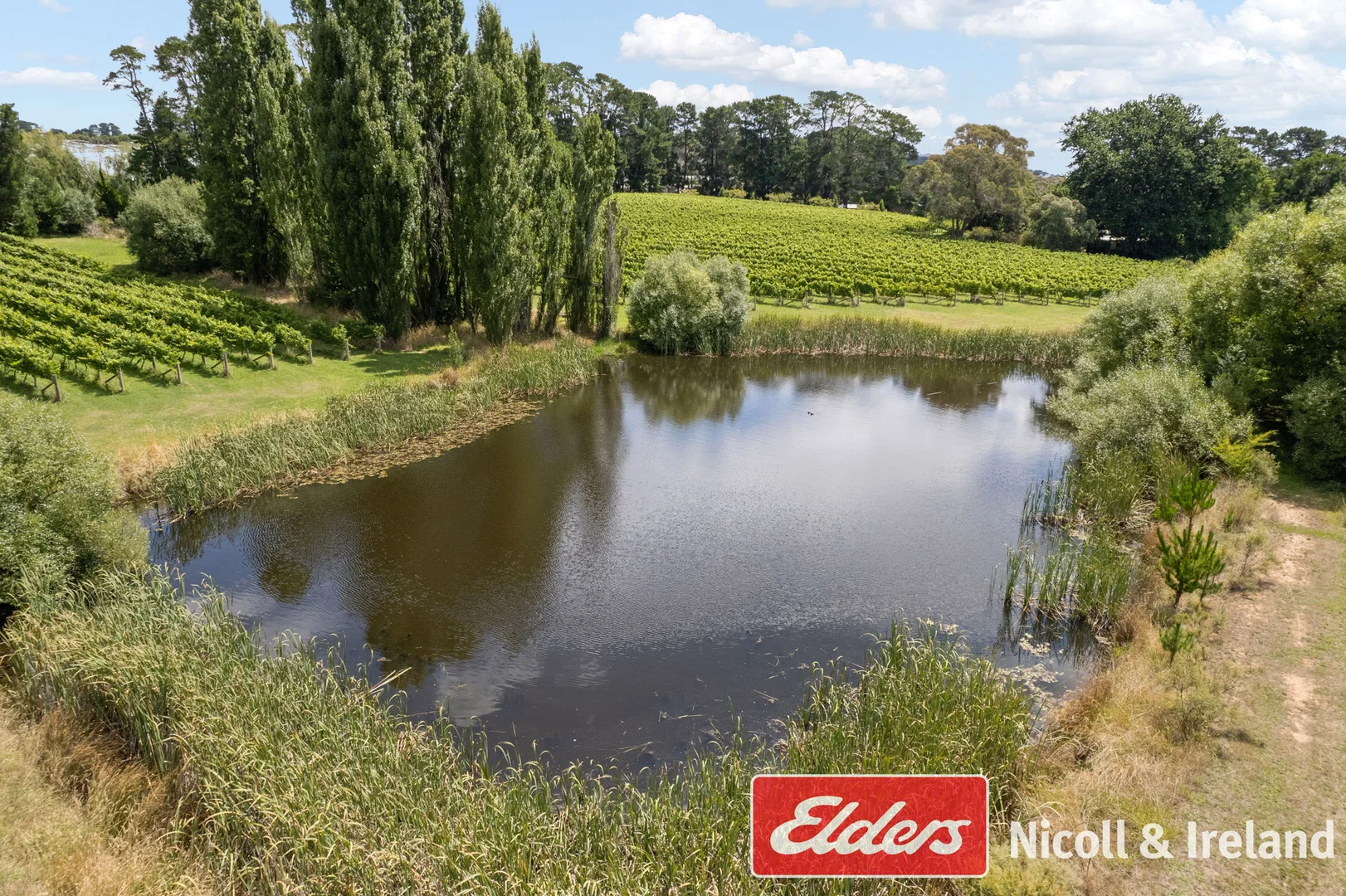 Additional image 32 of 42 Wallace Lane, Canobolas NSW 2800