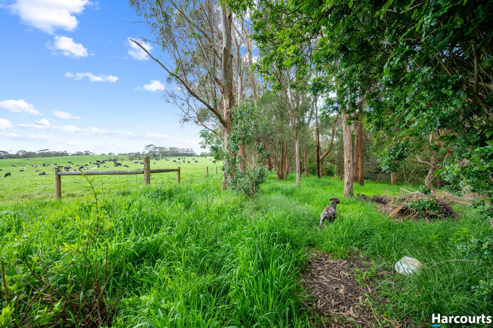 Additional image 27 of 585 Harding Lawson Road, Fish Creek VIC 3959
