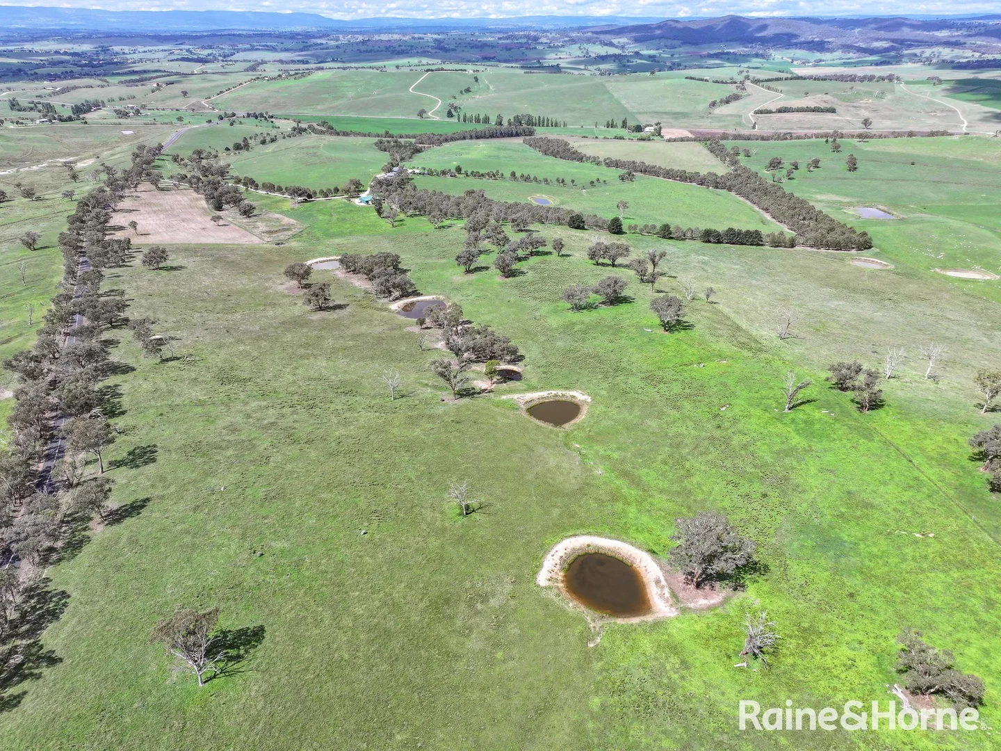 Additional image 32 of 223 Wimbledon Road, Georges Plains NSW 2795
