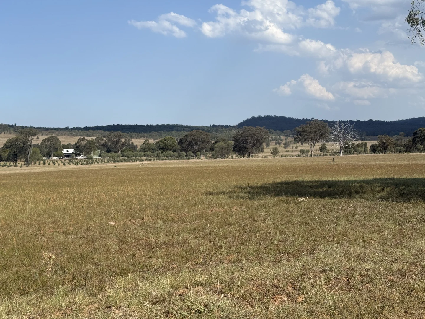 Additional image 42 of 207 Redmanvale Road, Jerrys Plains NSW 2330