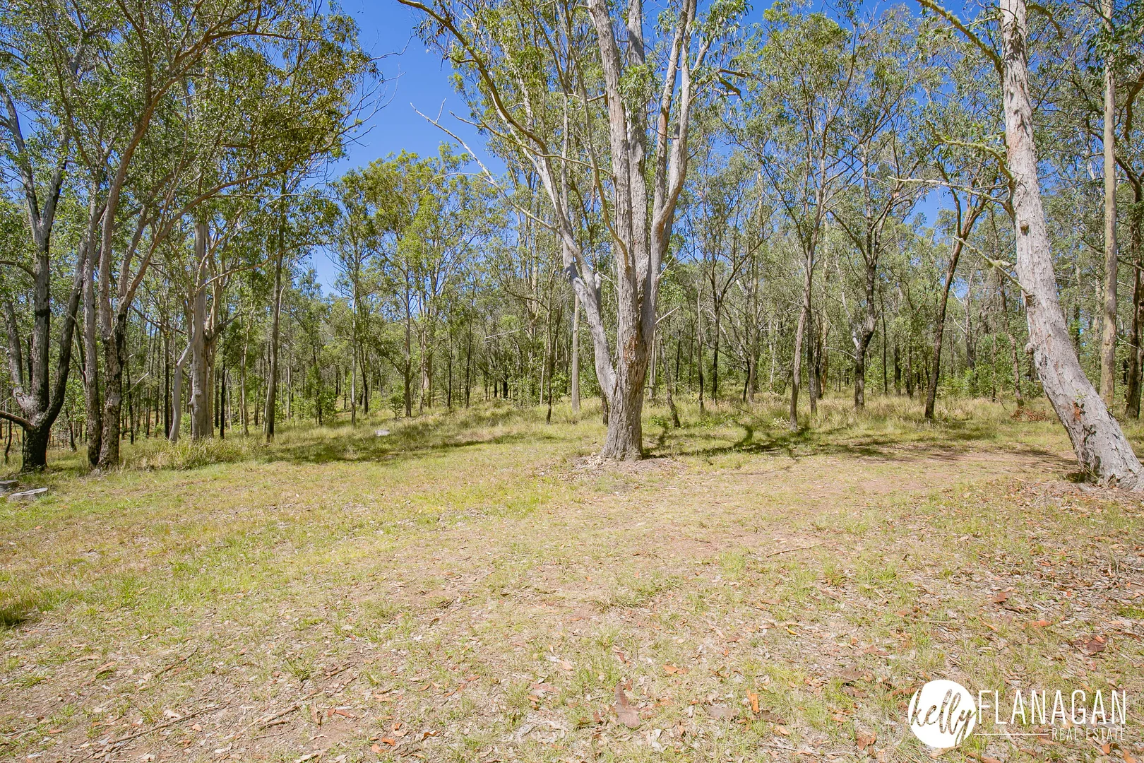 Additional image 22 of 130 Silverwood Avenue, Temagog NSW 2440