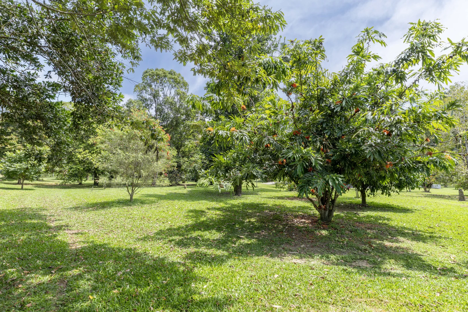 Additional image 29 of 516 Whyanbeel Road, Whyanbeel, Mossman QLD 4873