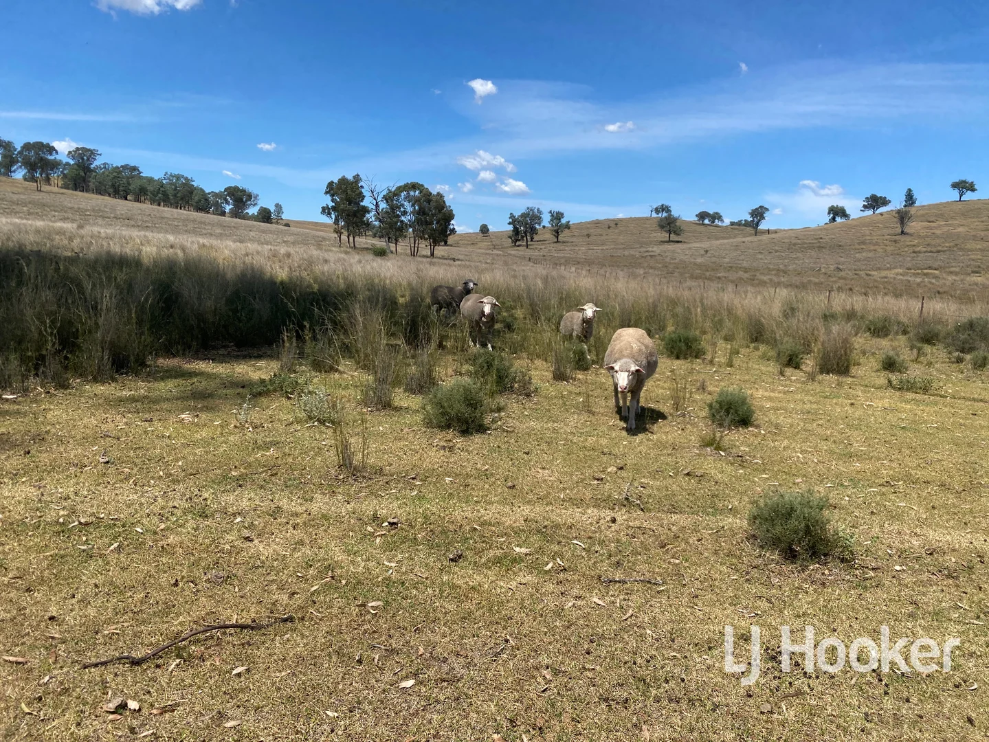 Additional image 21 of 1198 Bukkulla Road, Inverell NSW 2360