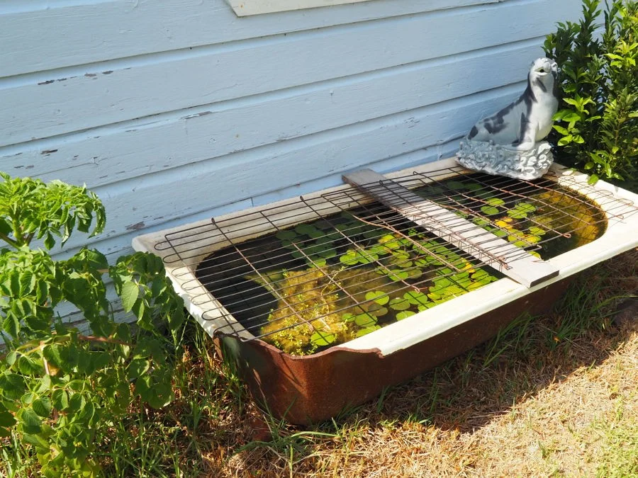 Additional image 23 of 2 Railway Parade, Warialda Rail NSW 2402