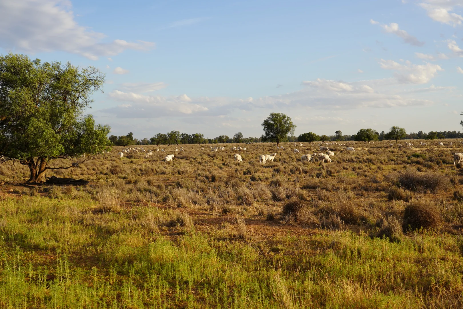 Additional image 21 of Buddabadah NSW 2825