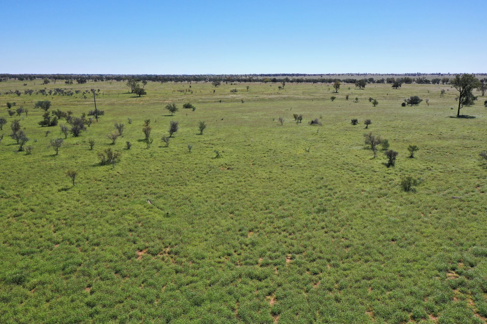 Additional image 2 of 205 Redbank Road, Roma QLD 4455