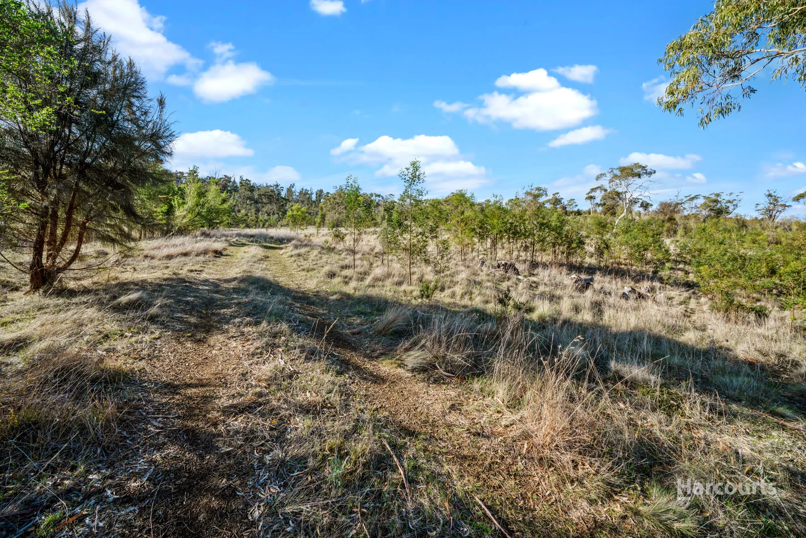 Additional image 5 of 212 Middle Tea Tree Road, Richmond TAS 7025