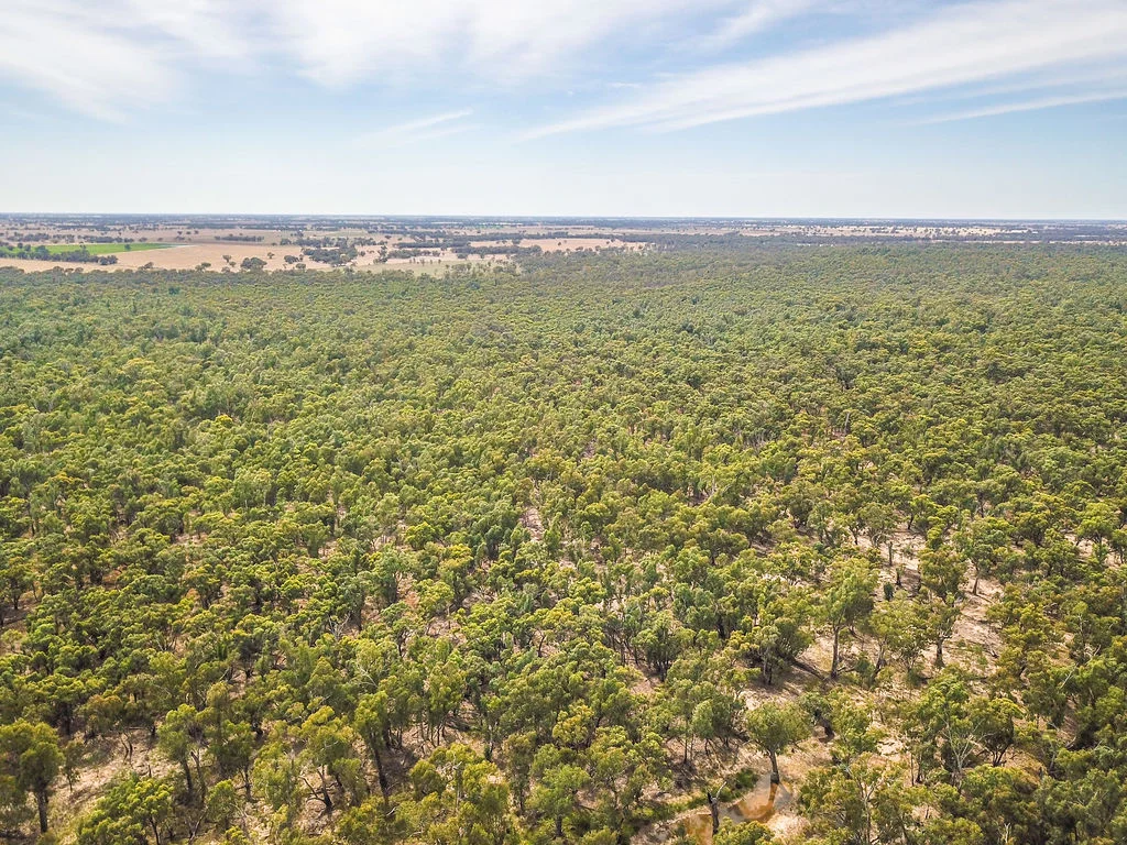 Additional image 17 of Lot 19, 20, 23 & 24 - 650 Yarraman Road, Moama NSW 2731