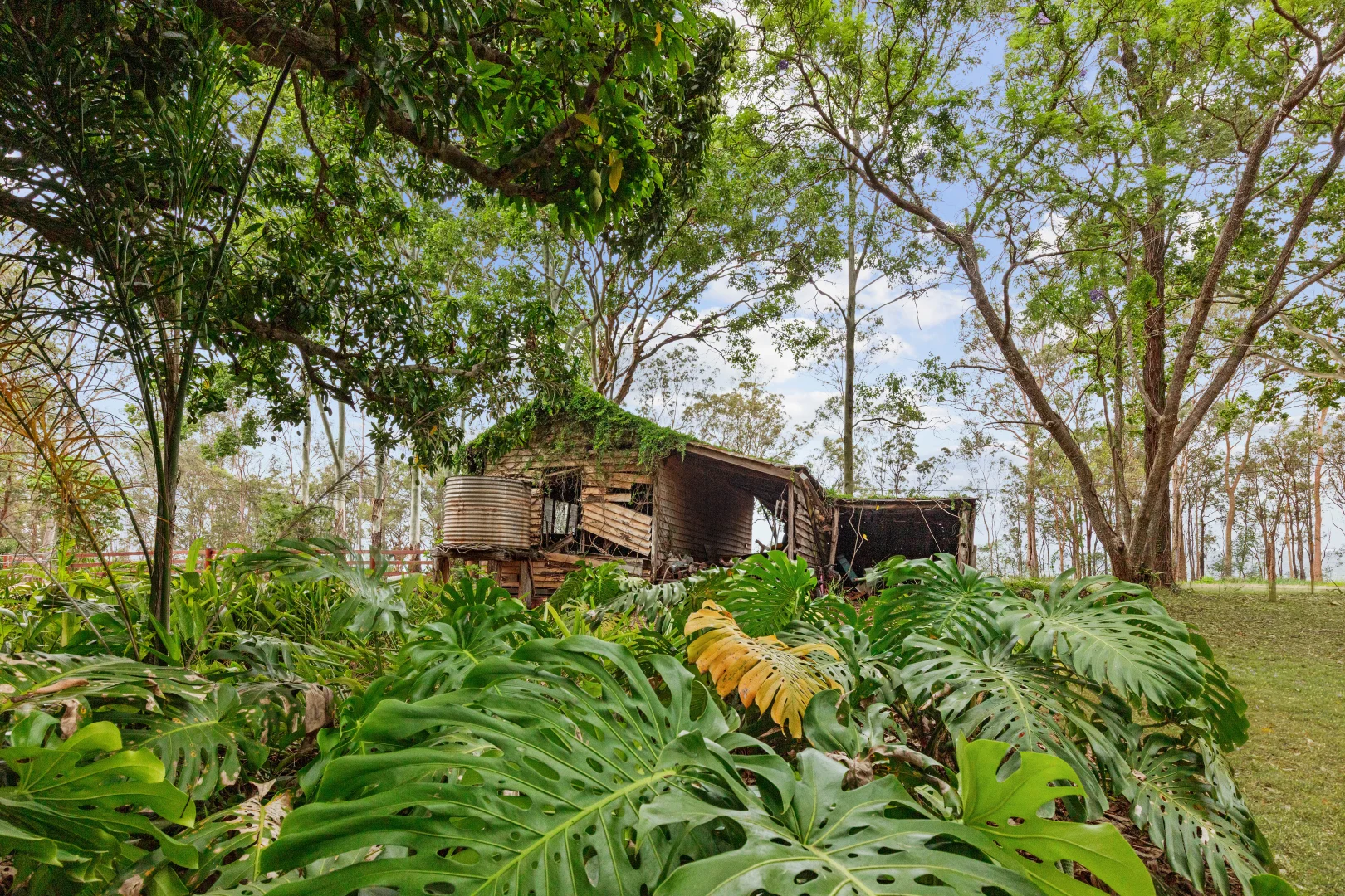 Additional image 20 of 1233 Anderleigh Road, Anderleigh QLD 4570