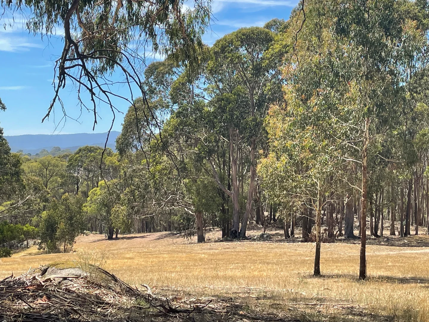 Additional image 12 of Strathbogie VIC 3666