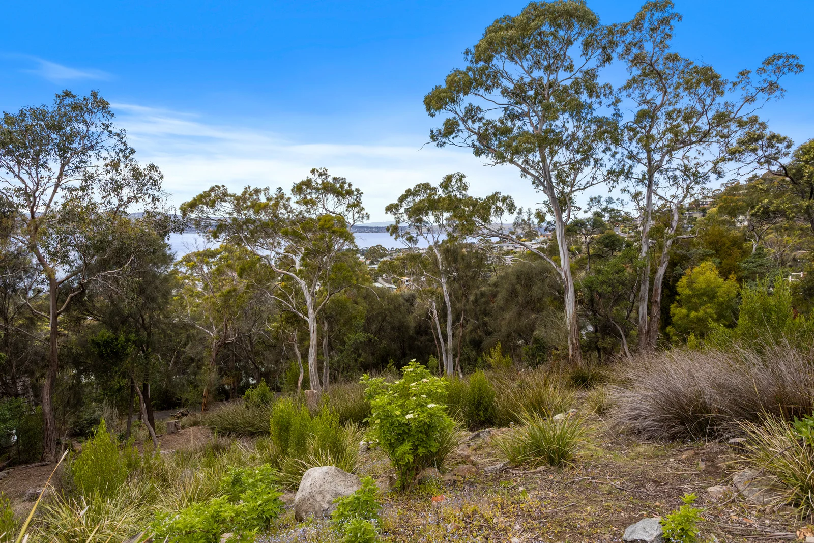Additional image 7 of 199 Nelson Road, Mount Nelson TAS 7007